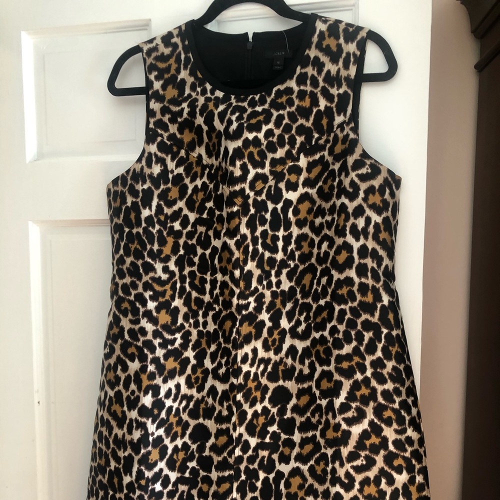NWT J Crew Dress